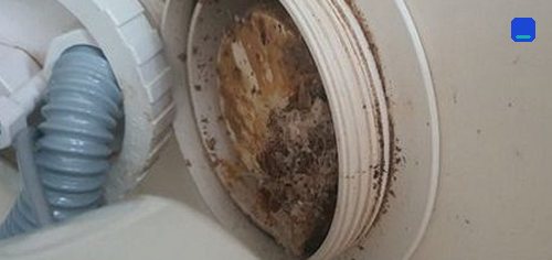 고양 · 전화 상담 뒤 방문 고객 글 사진