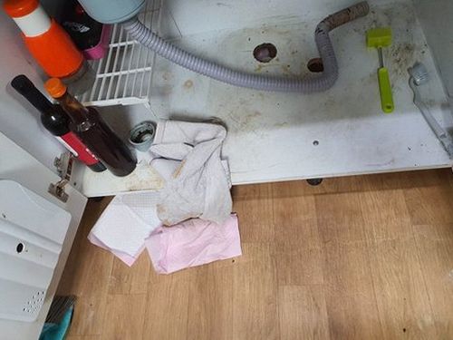 고양시 하수구막힘 정화조 막힘 점검 초기 대응 시간을 줄이는 점검법